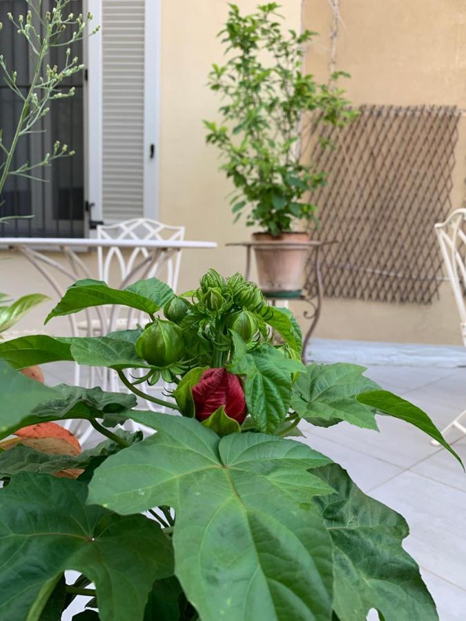 La Terrazza Vercelli Bed & Charme מראה חיצוני תמונה
